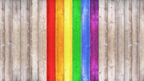 pride, flag, gay, lgbt, transgender, bisexual, color, six, background, aids, asexual, sex, community, sign, lesbian, lgbt pride, multicolored, orientation, pansexual, polysexual, pride flag, rainbow, sexual, symbol, banner, bright, colored, homosexual, homosexuality, lgbti, marriage, rights, love, diversity, family, homo, young, activism, civil, same-sex, female, male, man, fabric, equal, gaypride, homophobia, shemale, ransvestite