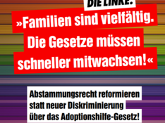 adoptionshilfe-gesetz_sharepic_01.png